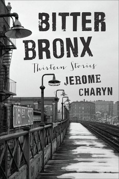 bitter bronx 1