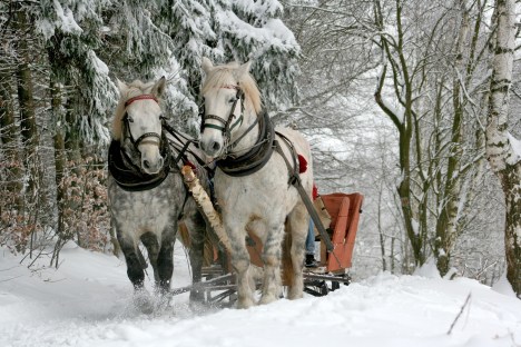 sleigh-ride-549727_1920
