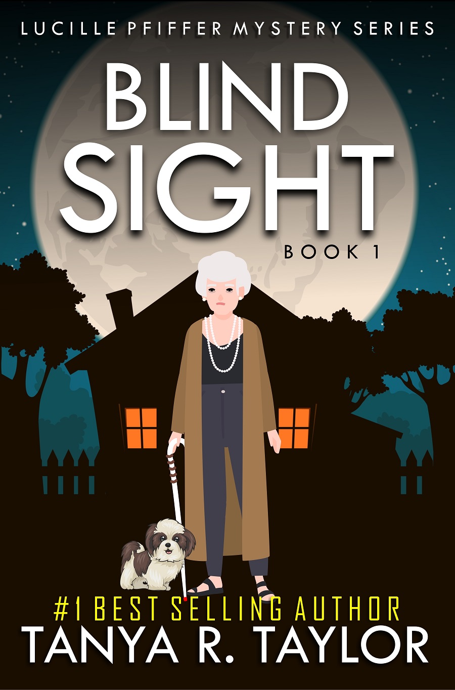BLIND SIGHT (LUCILLE PFIFFER MYSTERY SERIES book one) REG