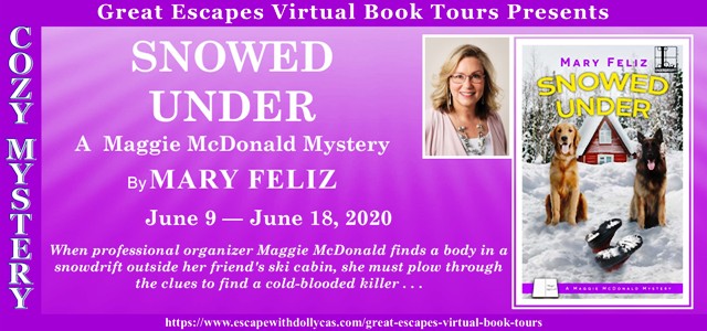 SNOWED UNDER BANNER 640